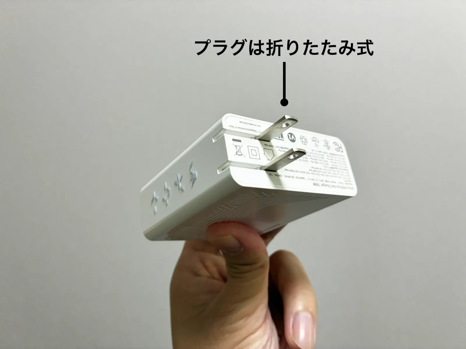 PHYSCE 100Wのプラグを起こしたところ。プラグは折りたたみ式