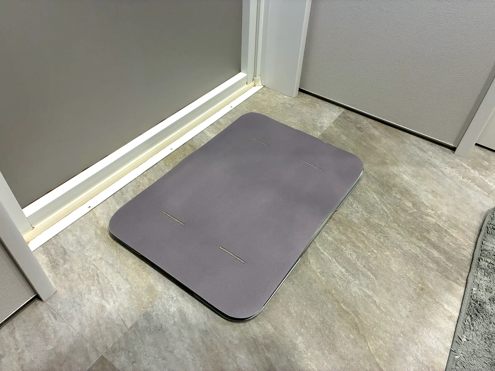 脱衣所の浴室ドアの前に置いたSmart Bath Mat（体組成計モデル）
